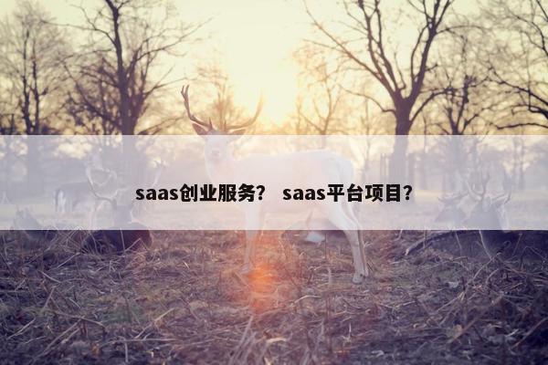 saas创业服务？ saas平台项目？