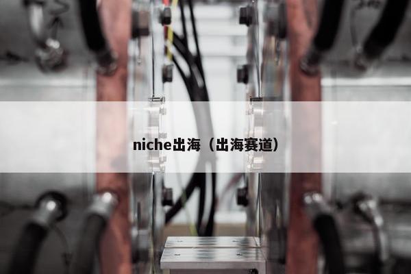 niche出海（出海赛道）