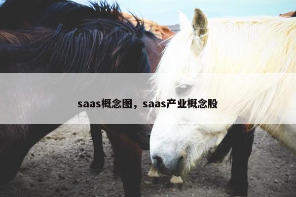 saas概念图，saas产业概念股