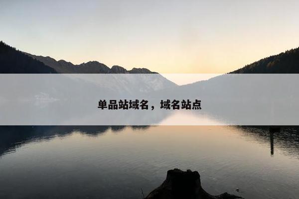 单品站域名，域名站点