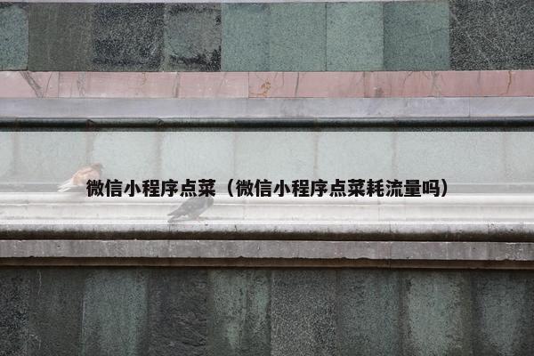 微信小程序点菜（微信小程序点菜耗流量吗）