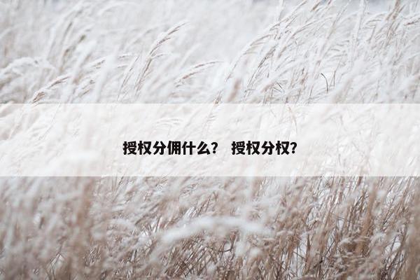授权分佣什么？ 授权分权？