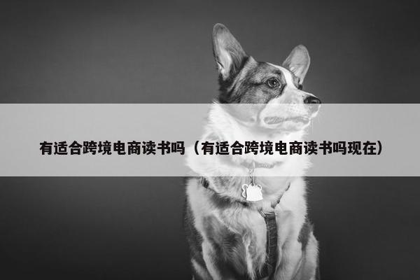 有适合跨境电商读书吗（有适合跨境电商读书吗现在）