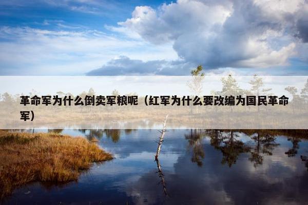 革命军为什么倒卖军粮呢（红军为什么要改编为国民革命军）