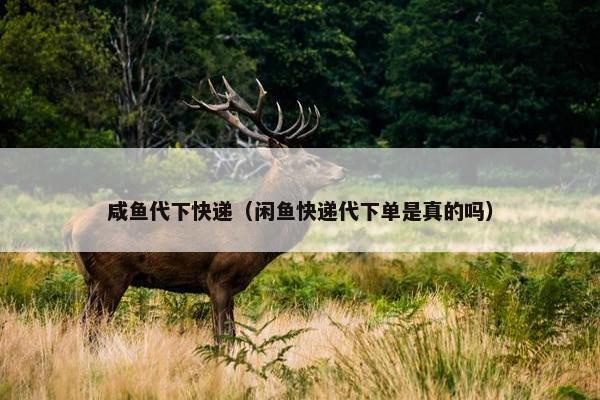 咸鱼代下快递（闲鱼快递代下单是真的吗）