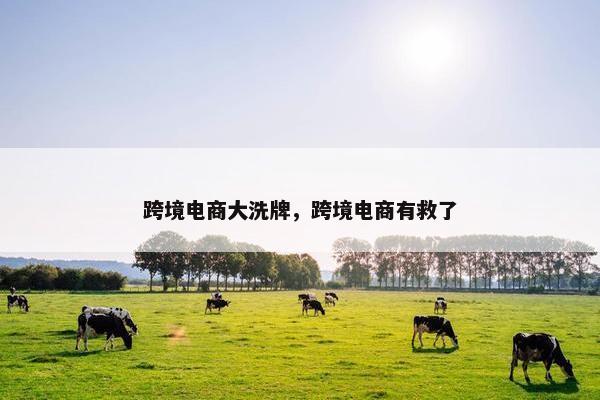 跨境电商大洗牌，跨境电商有救了