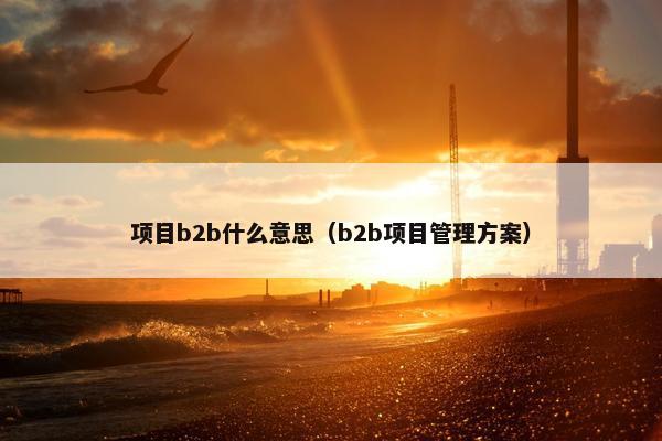 项目b2b什么意思（b2b项目管理方案）