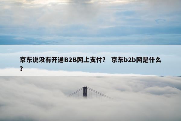 京东说没有开通B2B网上支付？ 京东b2b网是什么？