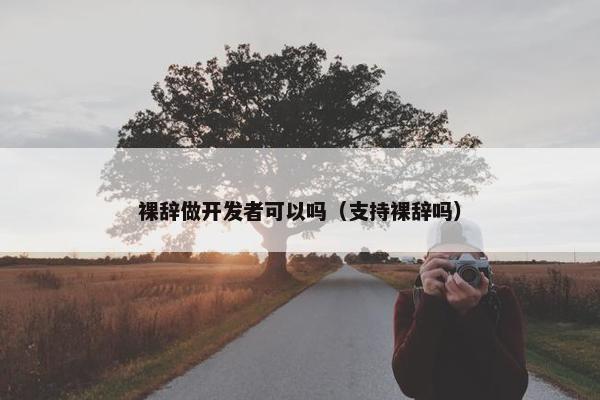 裸辞做开发者可以吗（支持裸辞吗）