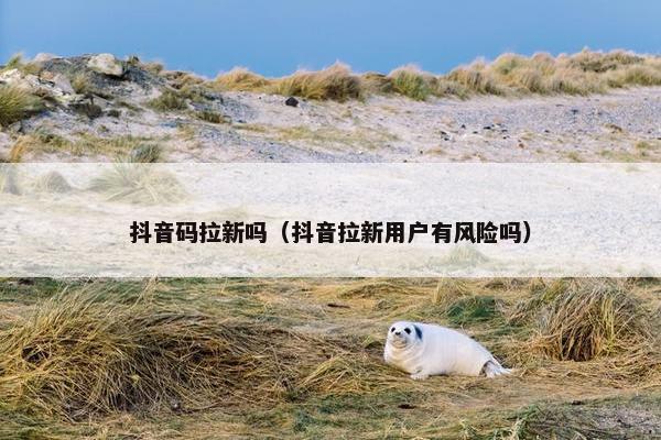 抖音码拉新吗（抖音拉新用户有风险吗）