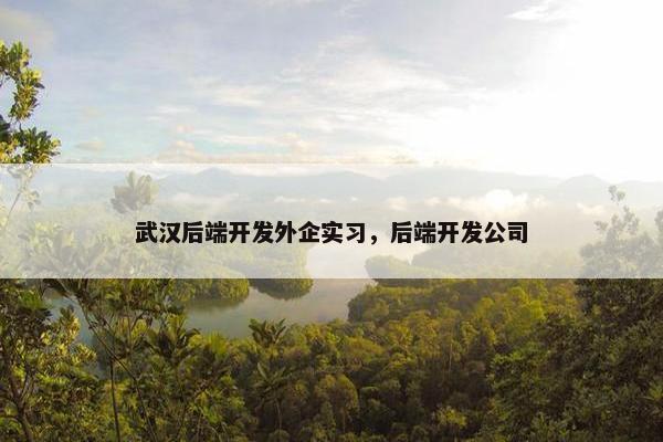 武汉后端开发外企实习,后端开发公司