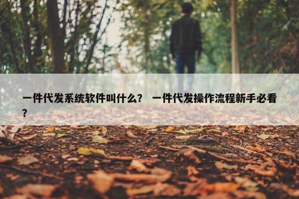 一件代发系统软件叫什么？ 一件代发操作流程新手必看？