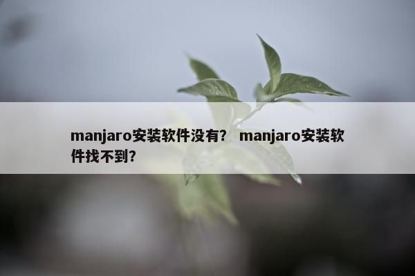 manjaro安装软件没有？ manjaro安装软件找不到？