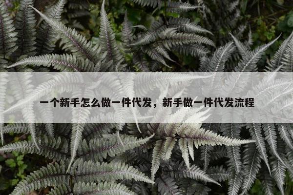 一个新手怎么做一件代发，新手做一件代发流程