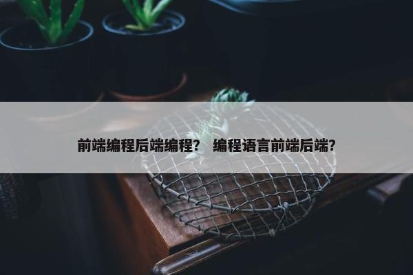 前端编程后端编程? 编程语言前端后端?