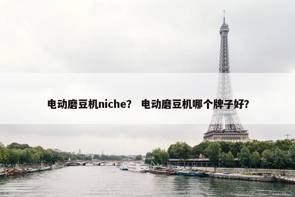 电动磨豆机niche? 电动磨豆机哪个牌子好?