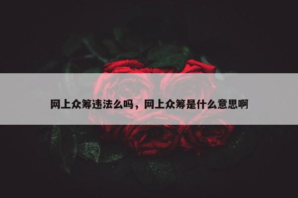 网上众筹违法么吗,网上众筹是什么意思啊