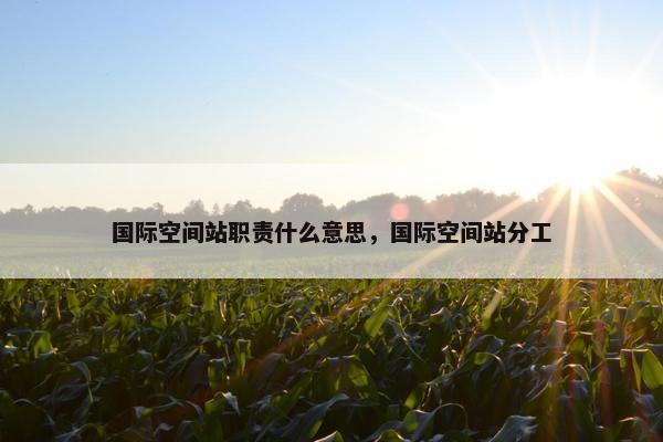 国际空间站职责什么意思,国际空间站分工