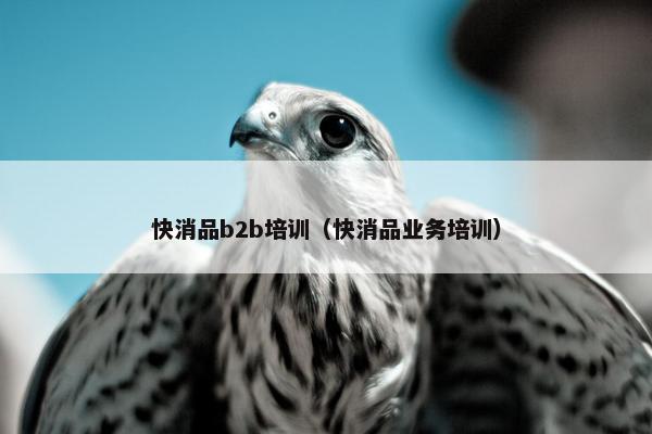 快消品b2b培训（快消品业务培训）