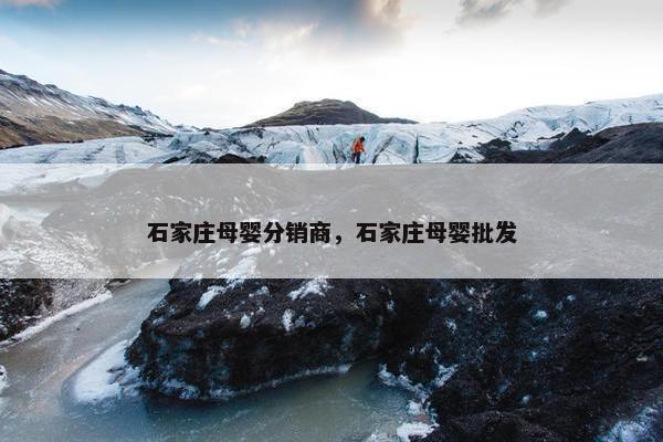 石家庄母婴分销商，石家庄母婴批发