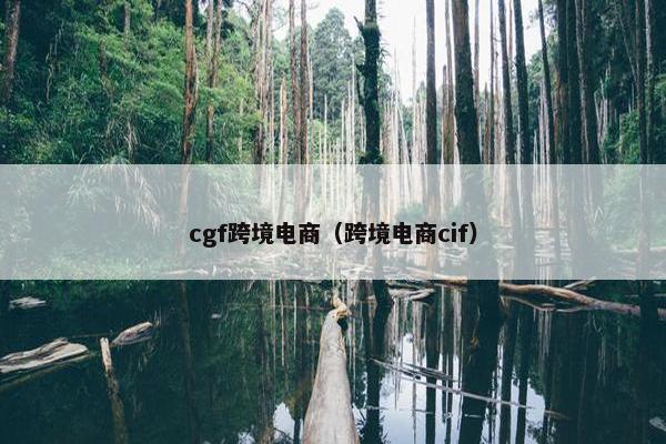 cgf跨境电商（跨境电商cif）