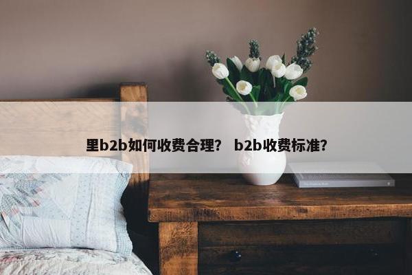 里b2b如何收费合理? b2b收费标准?