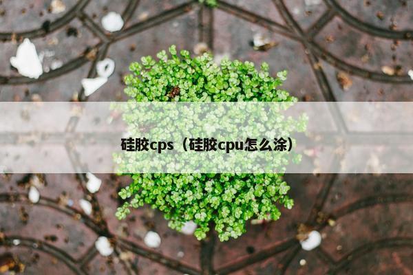 硅胶cps（硅胶cpu怎么涂）