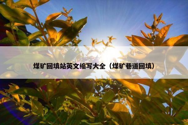 煤矿回填站英文缩写大全(煤矿巷道回填)