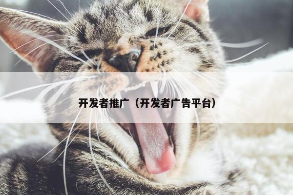 开发者推广(开发者广告平台)