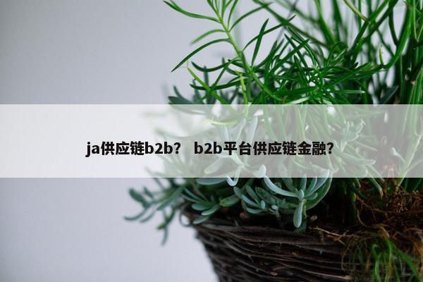 ja供应链b2b? b2b平台供应链金融? ja供应链b2b? b2b平台供应链金融?