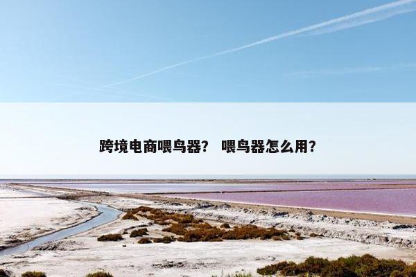 跨境电商喂鸟器? 喂鸟器怎么用?
