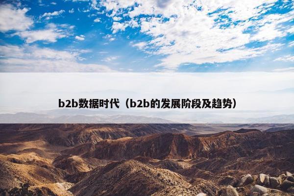 b2b数据时代（b2b的发展阶段及趋势）