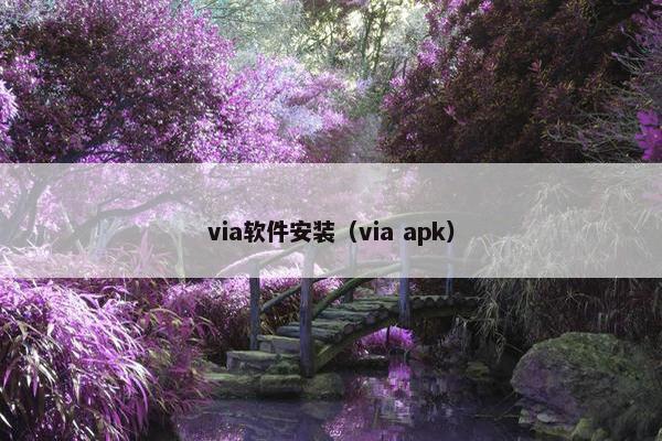 via软件安装(via apk)