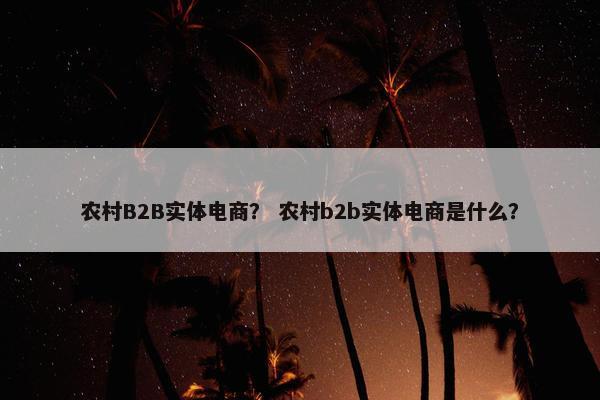 农村B2B实体电商? 农村b2b实体电商是什么?