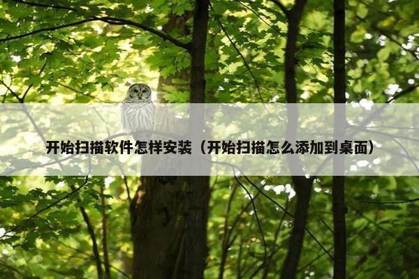 开始扫描软件怎样安装(开始扫描怎么添加到桌面)