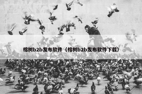榕树b2b发布软件(榕树b2b发布软件下载)