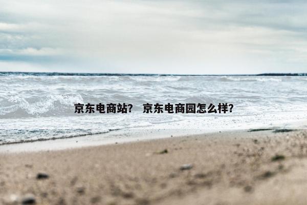 京东电商站? 京东电商园怎么样?
