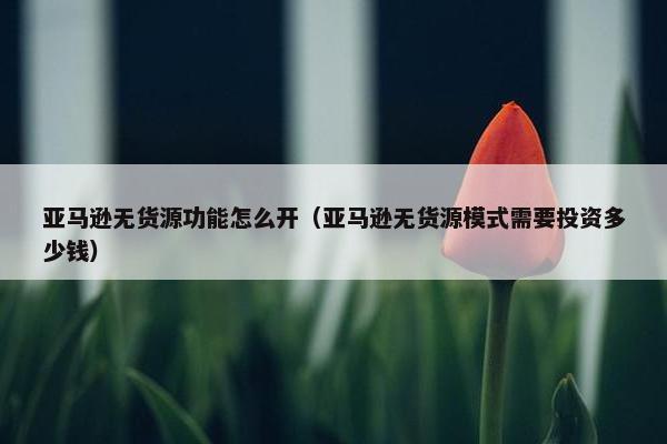 亚马逊无货源功能怎么开(亚马逊无货源模式需要投资多少钱)