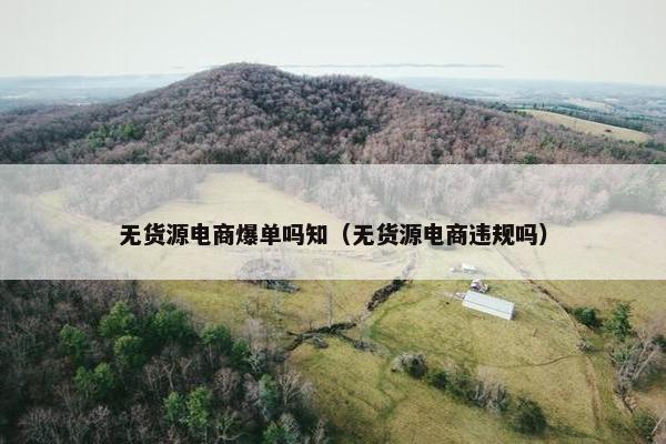 无货源电商爆单吗知(无货源电商违规吗)