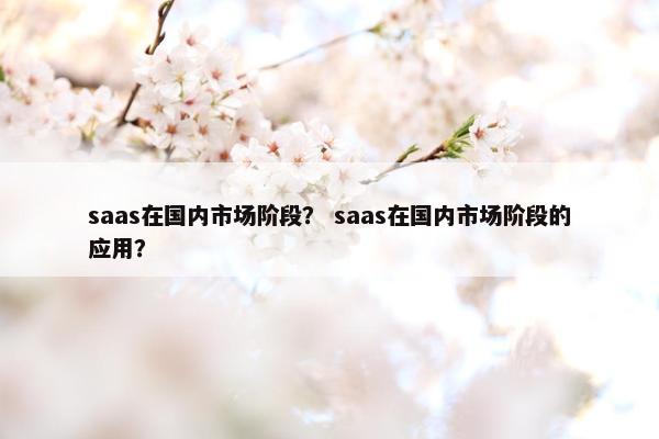 saas在国内市场阶段? saas在国内市场阶段的应用?