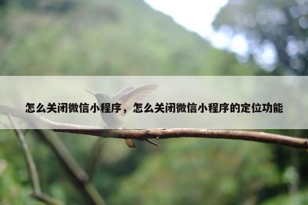 怎么关闭微信小程序,怎么关闭微信小程序的定位功能