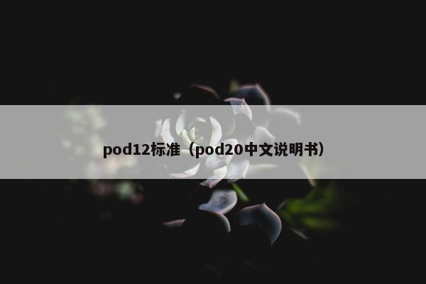 pod12标准(pod20中文说明书)