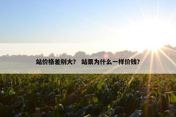 站价格差别大? 站票为什么一样价钱?