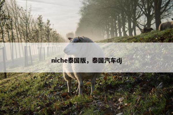 niche泰国版，泰国汽车dj