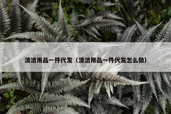 清洁用品一件代发(清洁用品一件代发怎么做) 清洁用品一件代发(清洁用品一件代发怎么做)