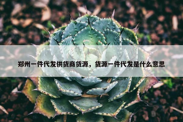 郑州一件代发供货商货源,货源一件代发是什么意思