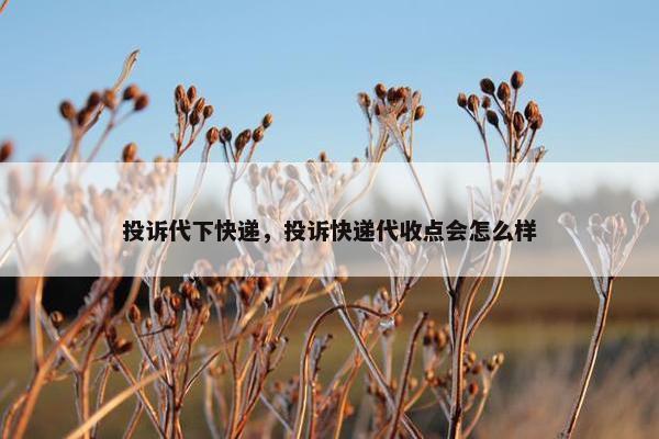 投诉代下快递,投诉快递代收点会怎么样