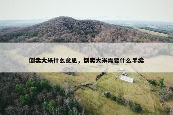 倒卖大米什么意思,倒卖大米需要什么手续