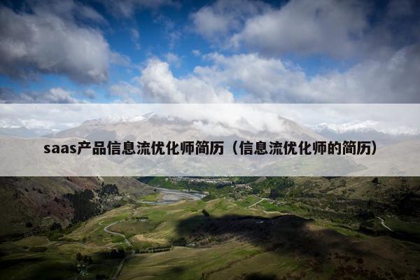 saas产品信息流优化师简历(信息流优化师的简历)