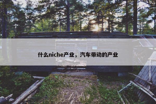 什么niche产业,汽车带动的产业 什么niche产业,汽车带动的产业